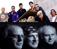 Museo Rosenbach & P. F. M.